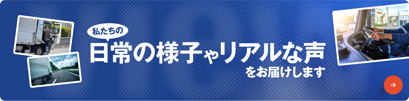 実際の様子